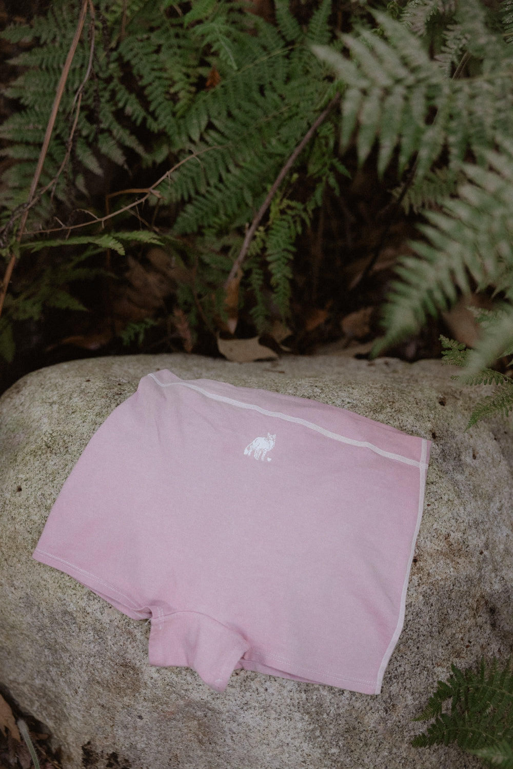 The Wild Heart Foundation Boyshorts